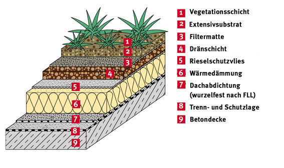 Gründach 2